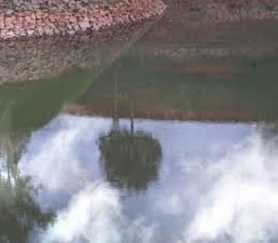 Acharya College of Education Bangalore campus photo 5